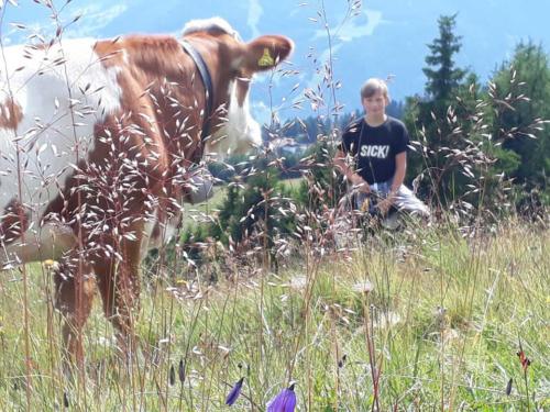 Auf der Alm ist es  schön